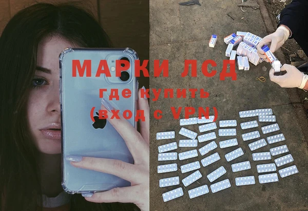 шишки Белоозёрский