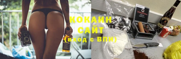 шишки Балабаново