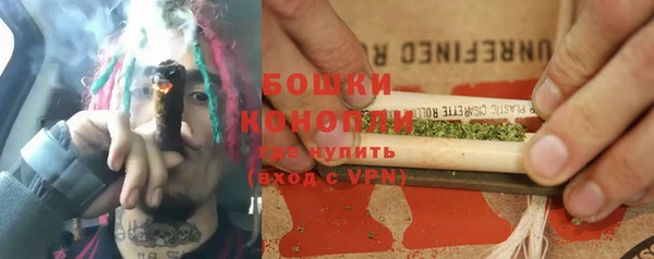 шишки Балабаново
