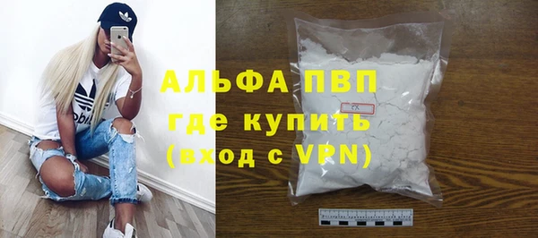 шишки Белоозёрский