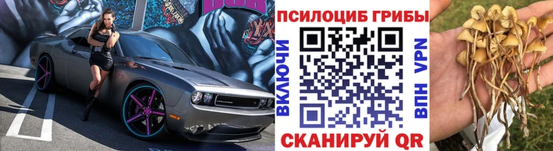 Галлюциногенные грибы Magic Shrooms  Голицыно 